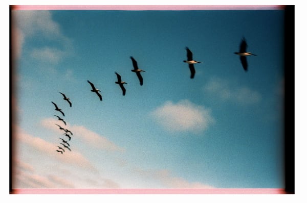 Paul Ferraris - Burgers