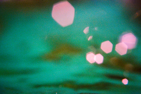 Dana Shaw - Glitter, 2024