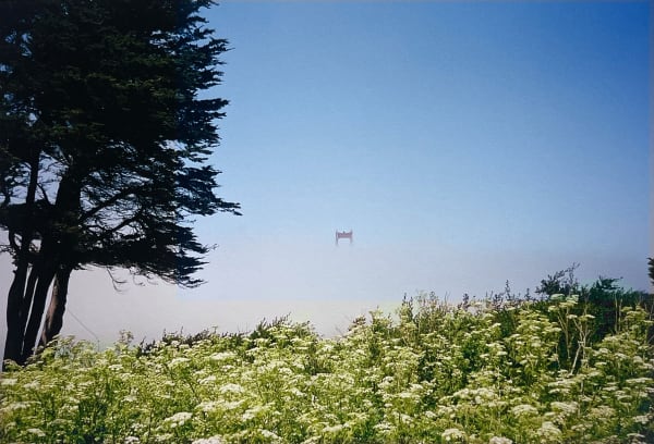 Stephen Amato-Salvatierra, The South Tower of the Golden Gate Bridge Poking Through Low Fog on a Tuesday