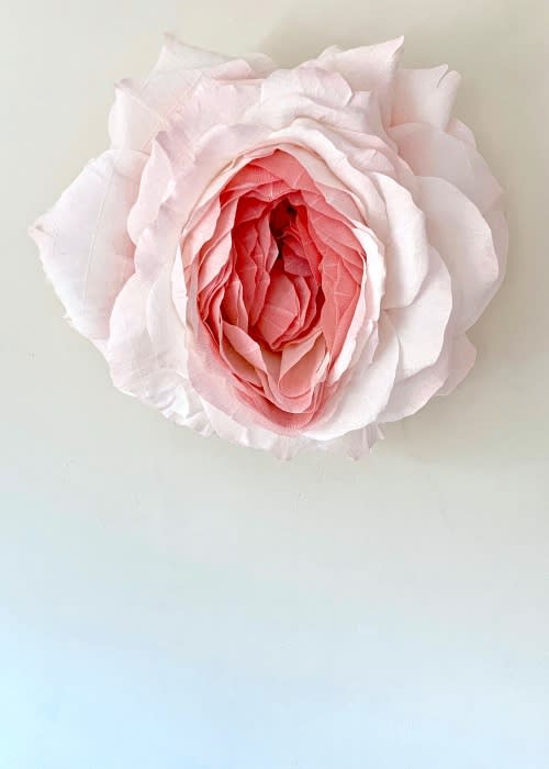 Specimen D (Prolapsed) by Tiffanie Turner.