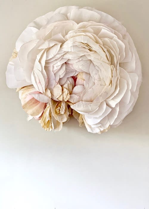 Rose Specimen F (Ranunculus) by Tiffanie Turner.