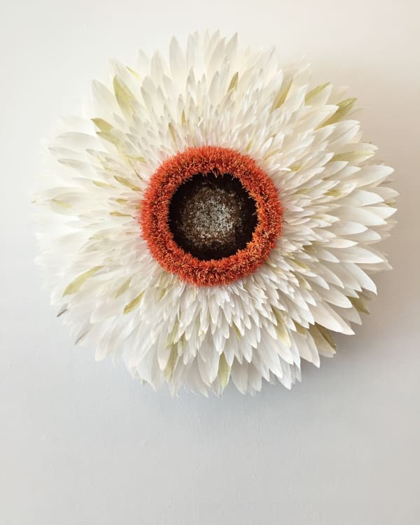 Specimen A (Strawflower) by Tiffanie Turner.