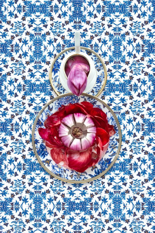 Wedgwood Hibiscus with Red Onion (2017)
