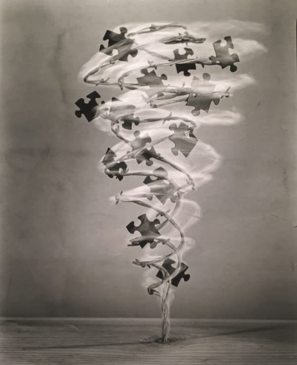 Robert Langham, Puzzle Twister, 2016