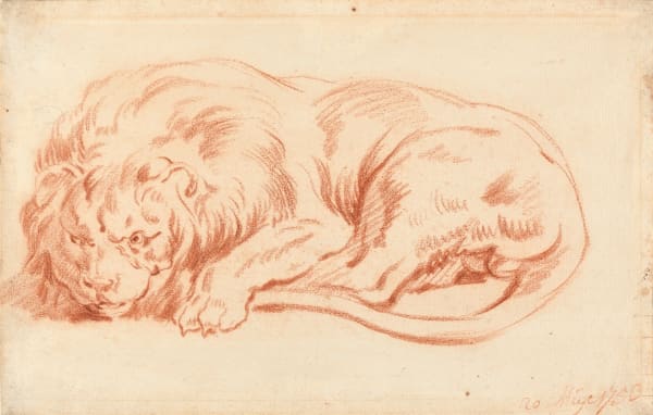 Jan Anton Garemyn (Bruges 1712 - 1799), A Study of a Recumbent Lion