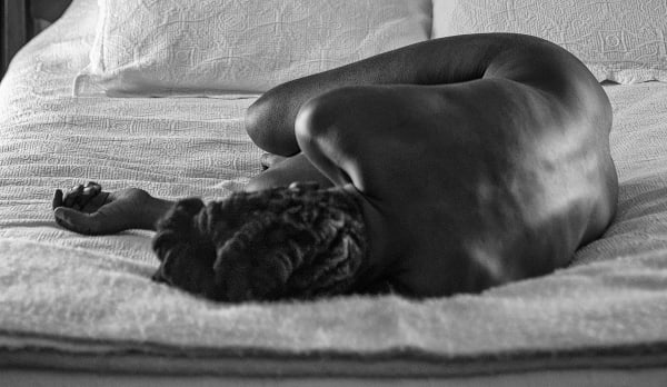 Bona II, Charlottesville, Virginia