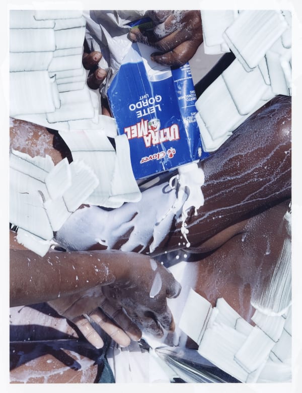 Leite 2017/paint study