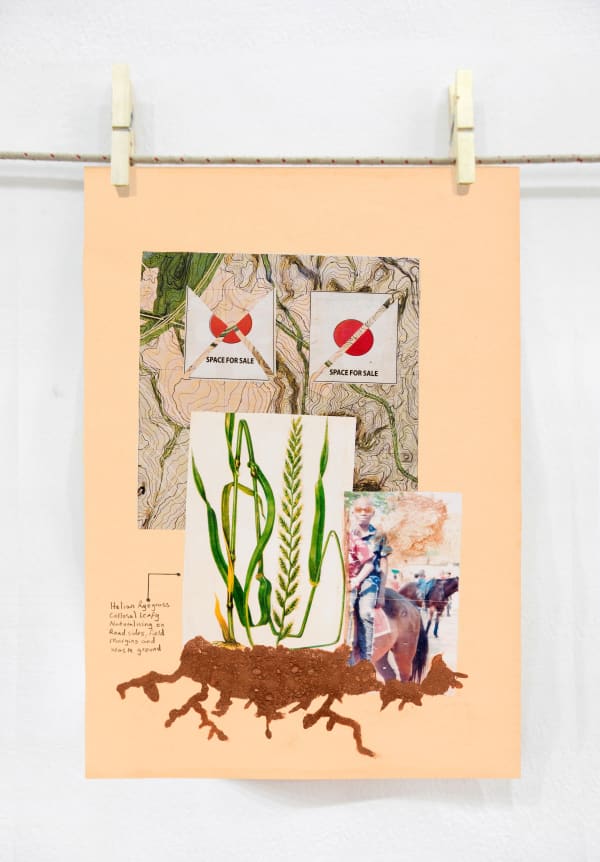 Space for sale, A Walk series