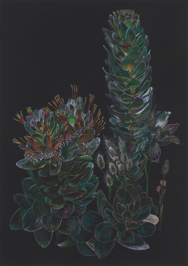 Drawing On Black Paper 4