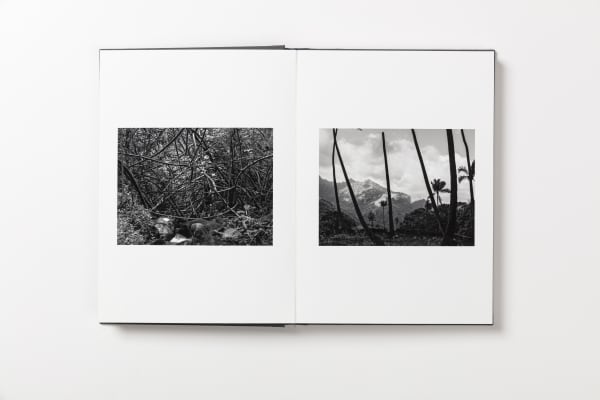 Tahiti, French Polynesia, 2010 Hiva Oa, French Polynesia