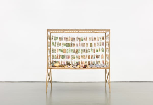 Bank or Economy: Transparent Economy