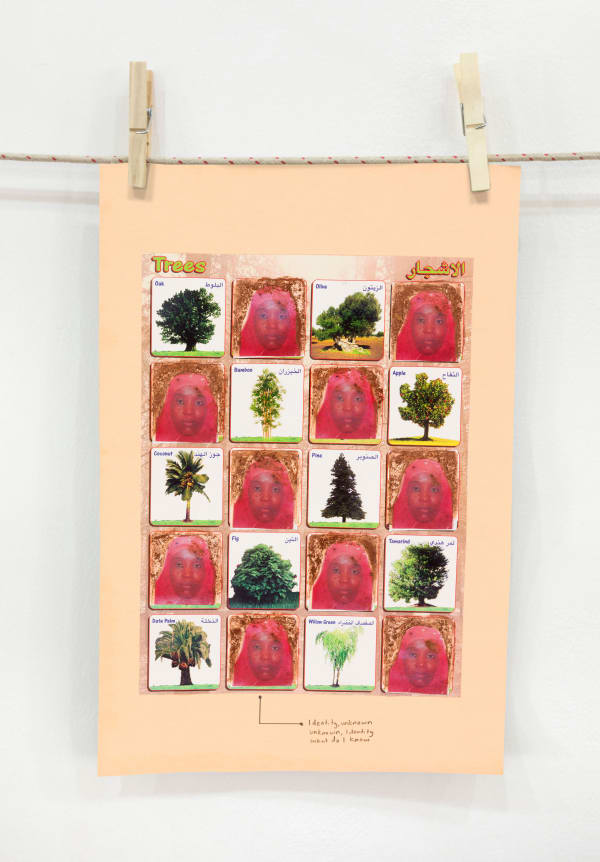 Trees, A Walk series, 2021