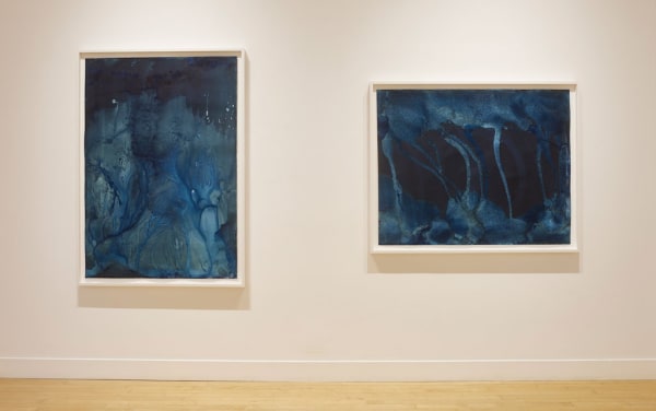 Installation view of Meghann Riepenhoff: Ice, November 16, 2021 - January 29, 2022 at Haines Gallery, San Francisco Photo: Robert Divers Herrick