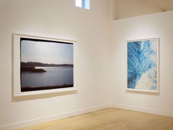 Installation view of Chromotherapy, July 8 - September 5, 2021 at Haines Gallery, San Francisco Photo: Robert Divers Herrick