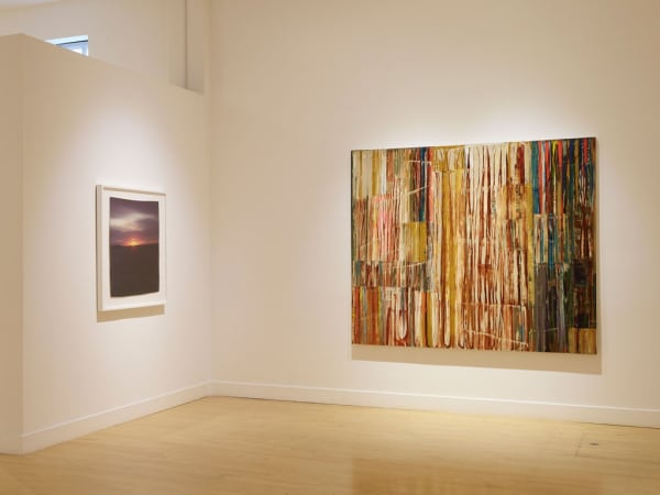 Installation view of Chromotherapy, July 8 - September 5, 2021 at Haines Gallery, San Francisco Photo: Robert Divers Herrick
