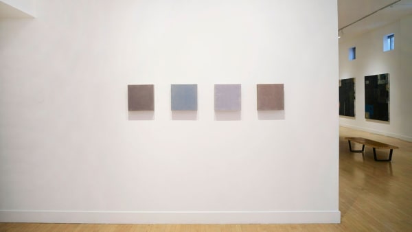 Installation view of David Simpson: Interference, January 2 - March 28, 2020 at Haines Gallery, San Francisco Photo: Robert Divers Herrick