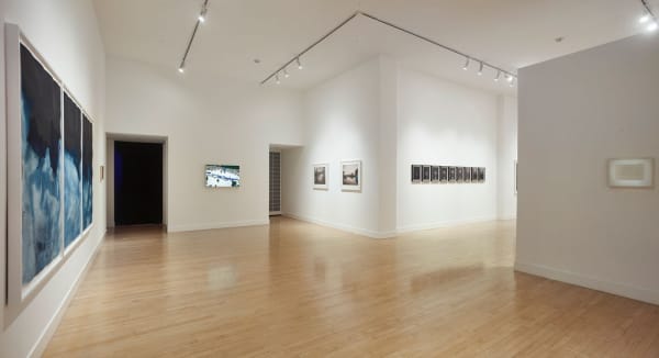 Installation view of A Cure for Everything, January 5 - March 23, 2019 at Haines Gallery, San Francisco Photo: Robert Divers Herrick