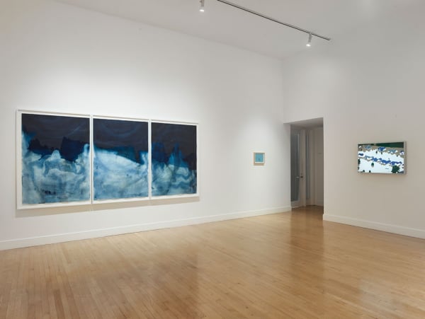 Installation view of A Cure for Everything, January 5 - March 23, 2019 at Haines Gallery, San Francisco Photo: Robert Divers Herrick