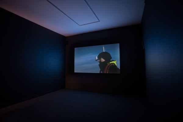 Installation view of A Cure for Everything, January 5 - March 23, 2019 at Haines Gallery, San Francisco Photo: Robert Divers Herrick