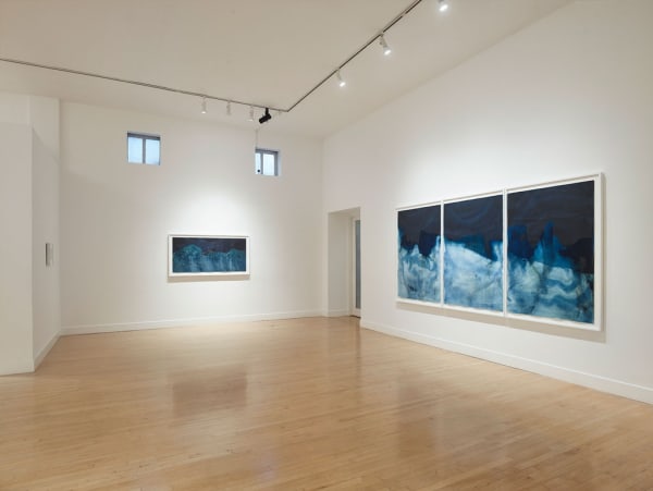 Installation view of A Cure for Everything, January 5 - March 23, 2019 at Haines Gallery, San Francisco Photo: Robert Divers Herrick