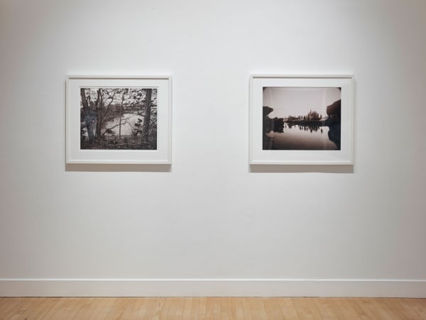 Installation view of A Cure for Everything, January 5 - March 23, 2019 at Haines Gallery, San Francisco Photo: Robert Divers Herrick