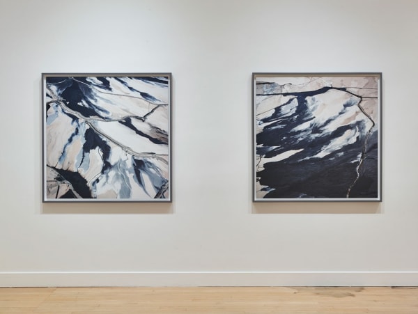 Installation view of A Cure for Everything, January 5 - March 23, 2019 at Haines Gallery, San Francisco Photo: Robert Divers Herrick