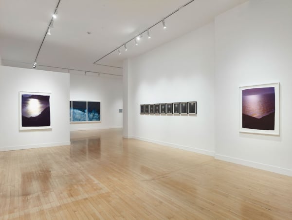 Installation view of A Cure for Everything, January 5 - March 23, 2019 at Haines Gallery, San Francisco Photo: Robert Divers Herrick