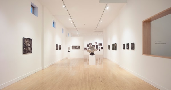 Installation view of Speak to the Stones, and the Stars Answer, March 1 - June 2, 2018 at Haines Gallery, San Francisco Photo: Robert Divers Herrick