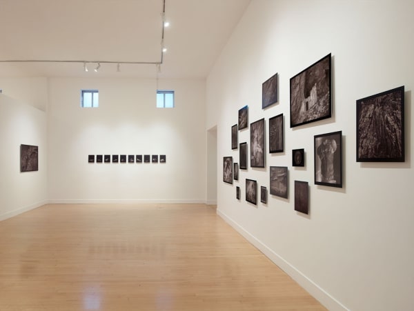 Installation view of Speak to the Stones, and the Stars Answer, March 1 - June 2, 2018 at Haines Gallery, San Francisco Photo: Robert Divers Herrick