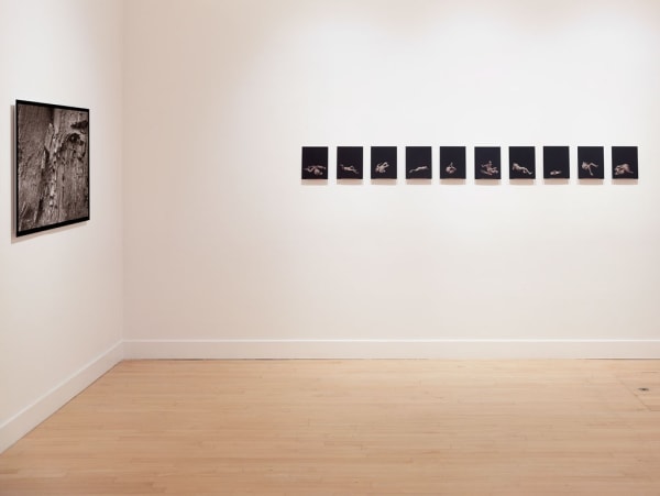 Installation view of Speak to the Stones, and the Stars Answer, March 1 - June 2, 2018 at Haines Gallery, San Francisco Photo: Robert Divers Herrick