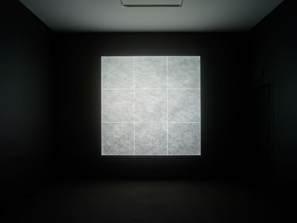 Installation view of David Maisel: Proving Ground, January 4 - February 24, 2018 at Haines Gallery, San Francisco Photo: Robert Divers Herrick