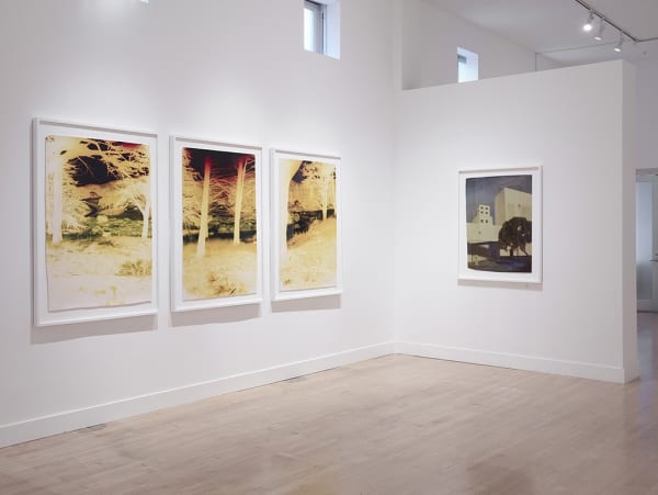 Installation view of John Chiara: Lands End: California at Larkin, November 2 - December 24, 2017 at Haines Gallery, San Francisco Photo: Robert Divers Herrick