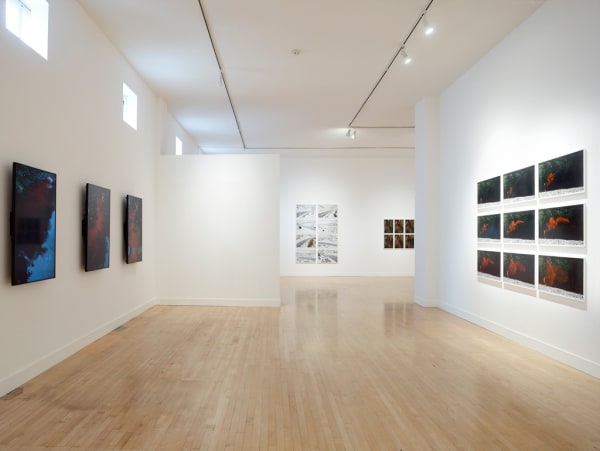 Installation view of Andy Goldsworthy: Drawing Water Standing Still, June 1 - September 2, 2017 at Haines Gallery, San Francisco Photo: Robert Divers Herrick