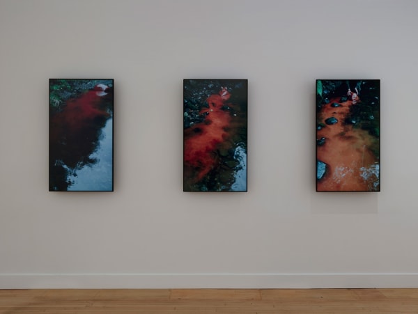 Installation view of Andy Goldsworthy: Drawing Water Standing Still, June 1 - September 2, 2017 at Haines Gallery, San Francisco Photo: Robert Divers Herrick