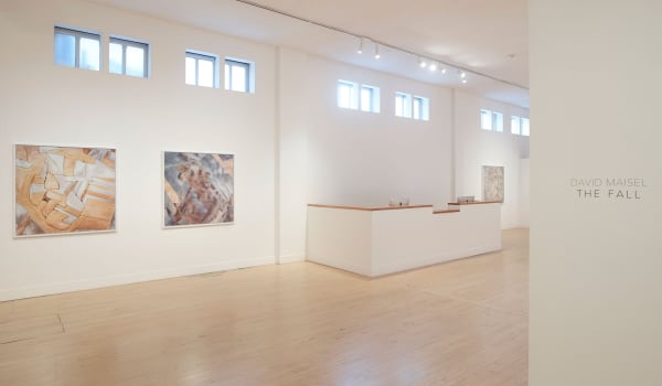 Installation view of David Maisel: The Fall, January 7 - March 12, 2016 at Haines Gallery, San Francisco