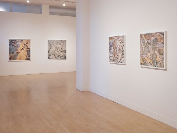 Installation view of David Maisel: The Fall, January 7 - March 12, 2016 at Haines Gallery, San Francisco