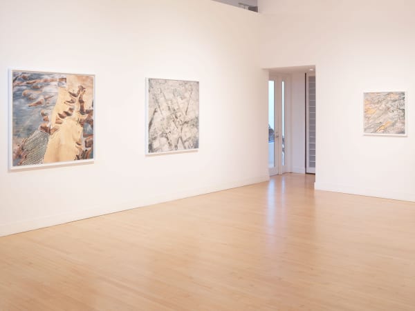 Installation view of David Maisel: The Fall, January 7 - March 12, 2016 at Haines Gallery, San Francisco
