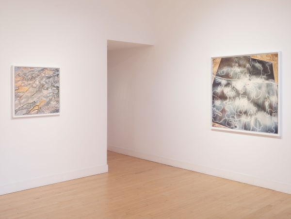 Installation view of David Maisel: The Fall, January 7 - March 12, 2016 at Haines Gallery, San Francisco