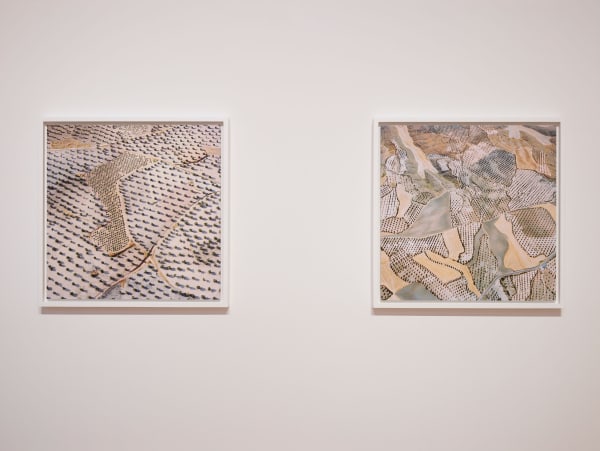 Installation view of David Maisel: The Fall, January 7 - March 12, 2016 at Haines Gallery, San Francisco