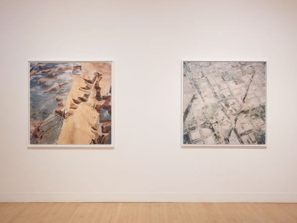 Installation view of David Maisel: The Fall, January 7 - March 12, 2016 at Haines Gallery, San Francisco