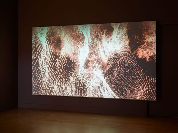 Installation view of The Mapmaker's Dream, November 5 - December 23, 2015 at Haines Gallery, San Francisco Photo: Robert Divers Herrick