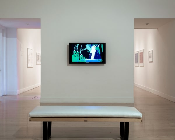 Installation view of Kota Ezawa: The Curse of Dimensionality, January 5 - February 18, 2012 at Haines Gallery, San Francisco