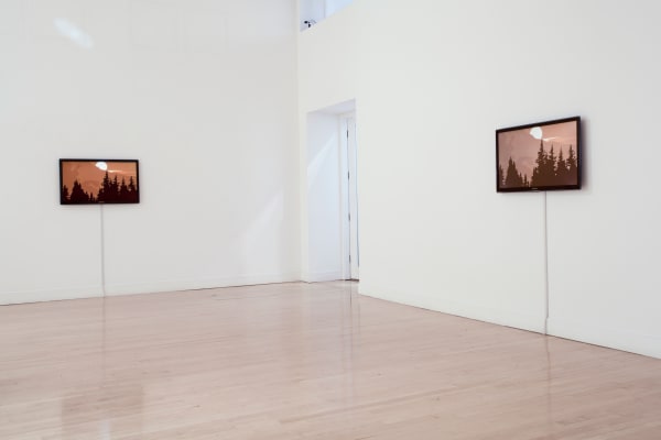 Installation view of Kota Ezawa: The Curse of Dimensionality, January 5 - February 18, 2012 at Haines Gallery, San Francisco