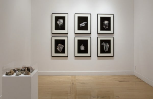 Installation view of Nigel Poor: Remainders: God, Sex and Animals Talking, February 23 - April 7, 2012 at Haines Gallery, San Francisco