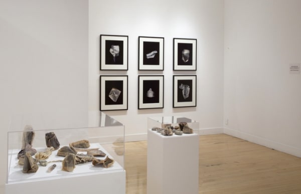 Installation view of Nigel Poor: Remainders: God, Sex and Animals Talking, February 23 - April 7, 2012 at Haines Gallery, San Francisco
