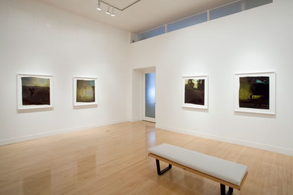 Installation view of John Chiara: Crestmont at Coral, April 12 - May 26, 2012 at Haines Gallery, San Francisco
