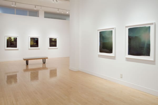 Installation view of John Chiara: Crestmont at Coral, April 12 - May 26, 2012 at Haines Gallery, San Francisco