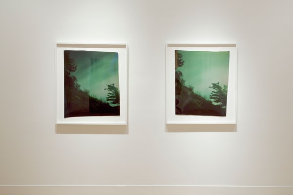 Installation view of John Chiara: Crestmont at Coral, April 12 - May 26, 2012 at Haines Gallery, San Francisco