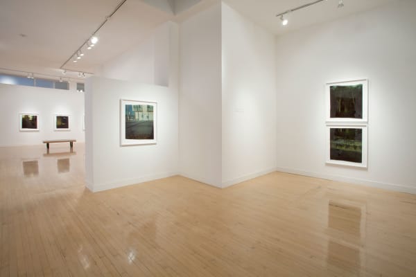 Installation view of John Chiara: Crestmont at Coral, April 12 - May 26, 2012 at Haines Gallery, San Francisco