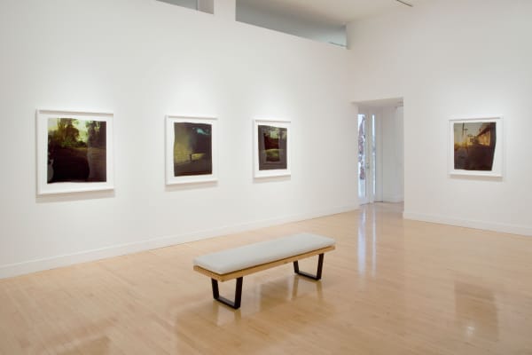 Installation view of John Chiara: Crestmont at Coral, April 12 - May 26, 2012 at Haines Gallery, San Francisco